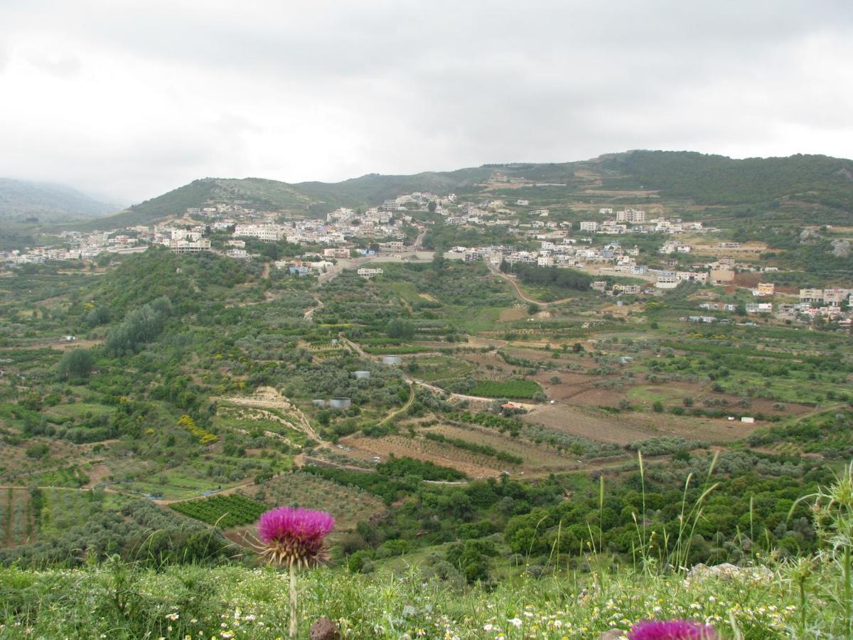 Tourism In The Village Ein Kinya Dış mekan fotoğraf
